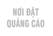 Thông tin của công ty